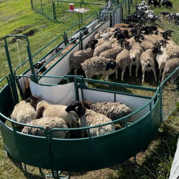 All Sheep and Goat Handling Equipment Products Lakeland Farm & Ranch