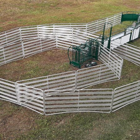 SG300- Sheep & Goat Handling System