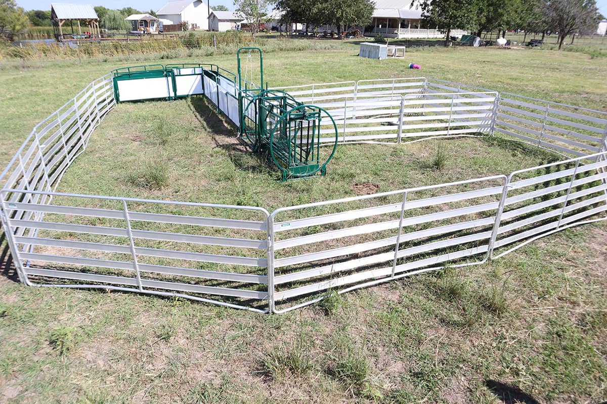 The Deluxe Shepherdess Package