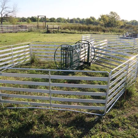The Starter Shepherdess Package