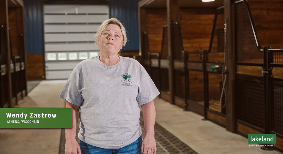 Wendy-2-980x536 C-Winiger Horse stall Setup by Lakeland