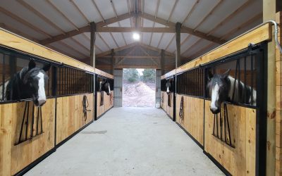 Why Your Horse Stall Design Matters