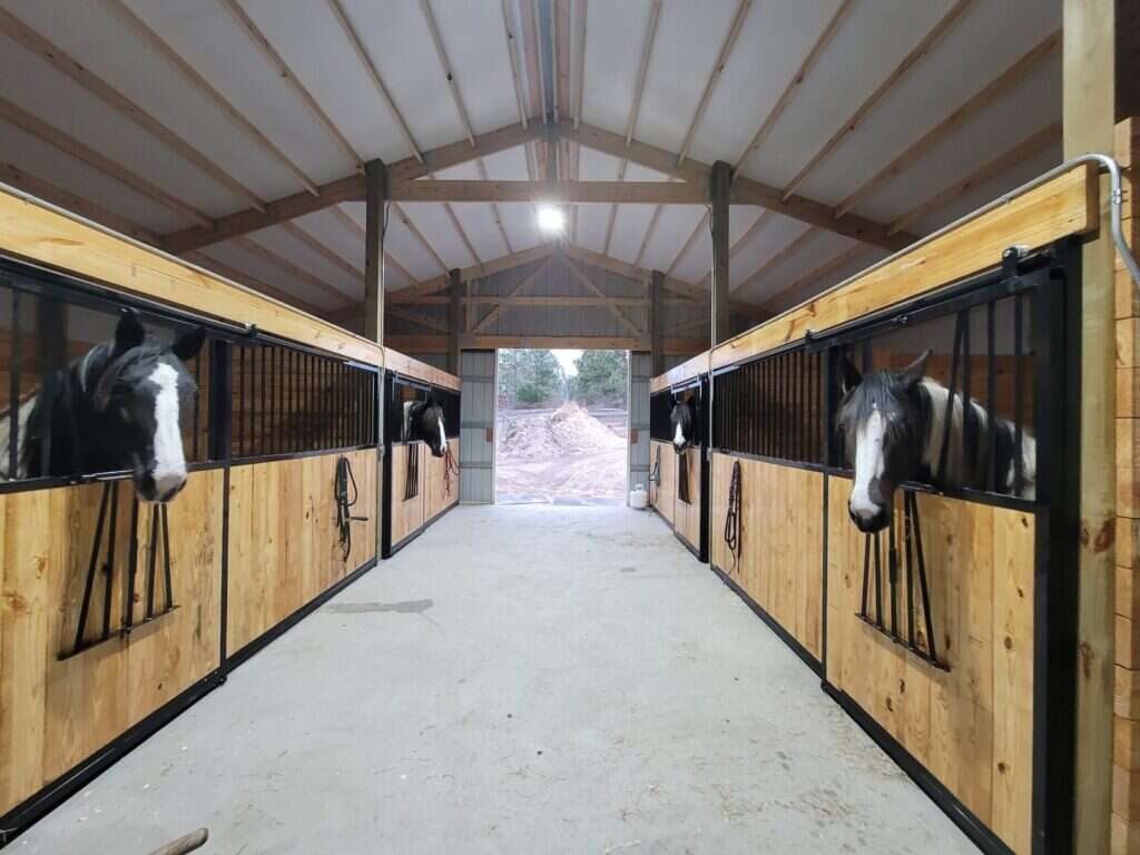 Why Your Horse Stall Design Matters