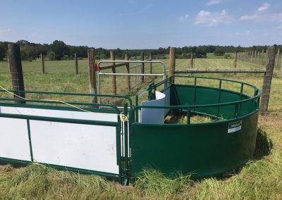 Working Chute and Crowding Tub By lakeland