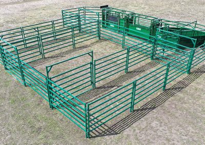 C3000 – Cattle Handling System- Side View