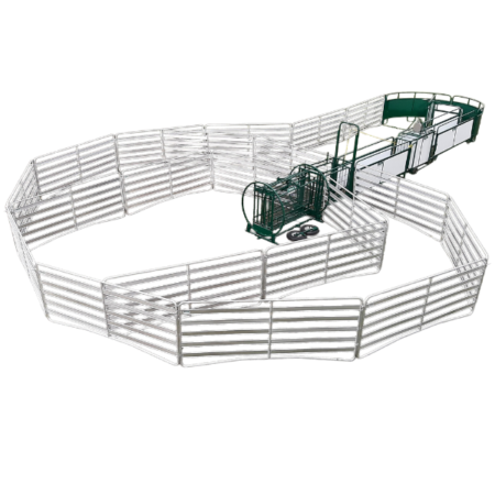 SG300- Sheep & Goat Handling System