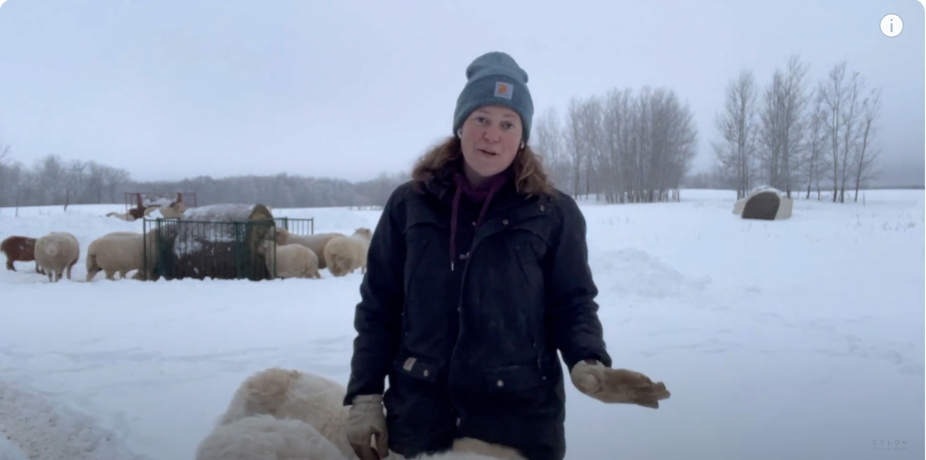 Cylon Rolling Acre- Lakeland