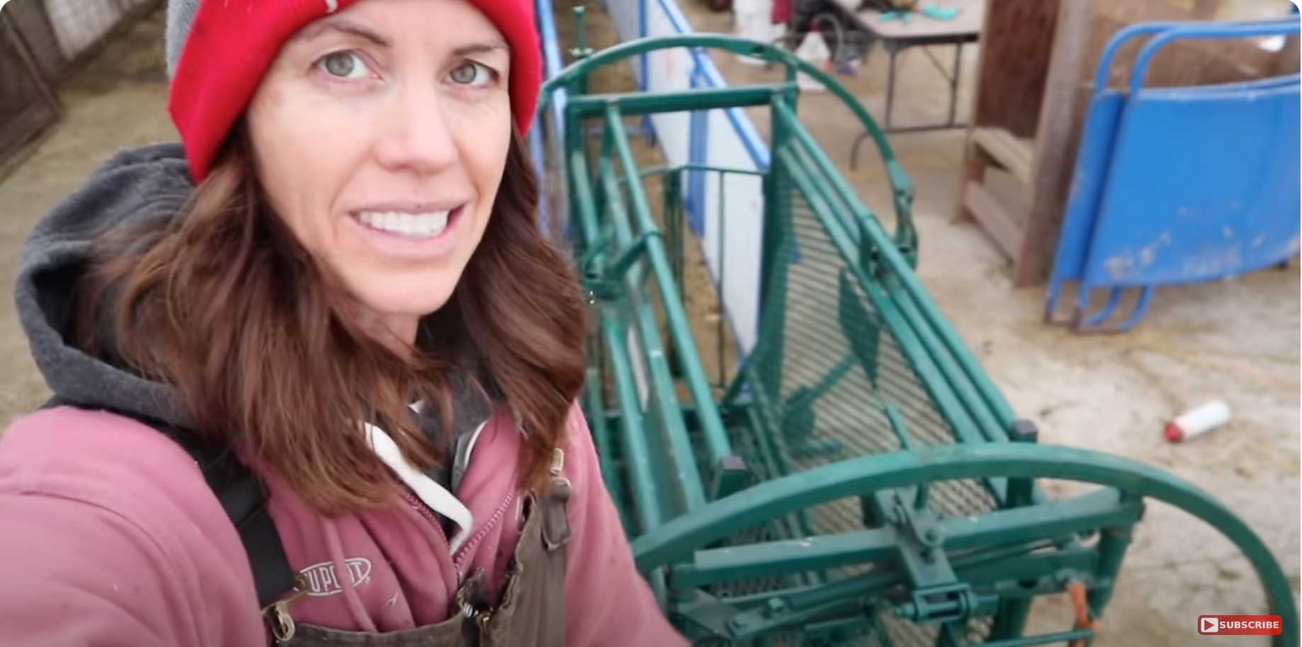 Sheepishly Me – Staffa, ON- Lakeland