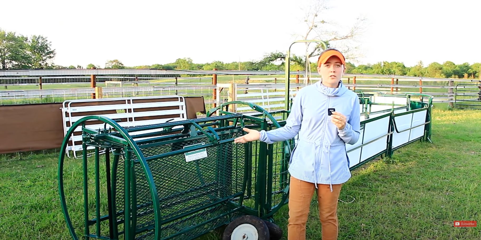 The Shepherdess- Lakeland