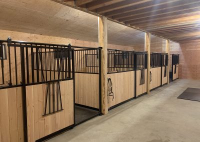 Cwiniger Horse stall setup- lakeland