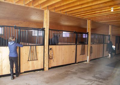 Cwiniger Horse Stall