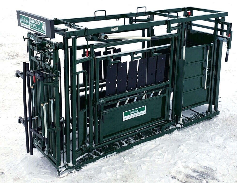 Cattle - Lakeland Farm & Ranch Direct