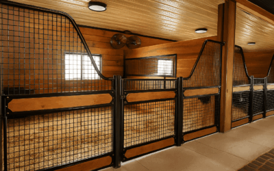 European Horse Stalls - Classic Collection