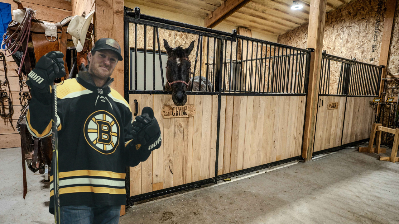 Lakeland Horse stall- NordicFarms