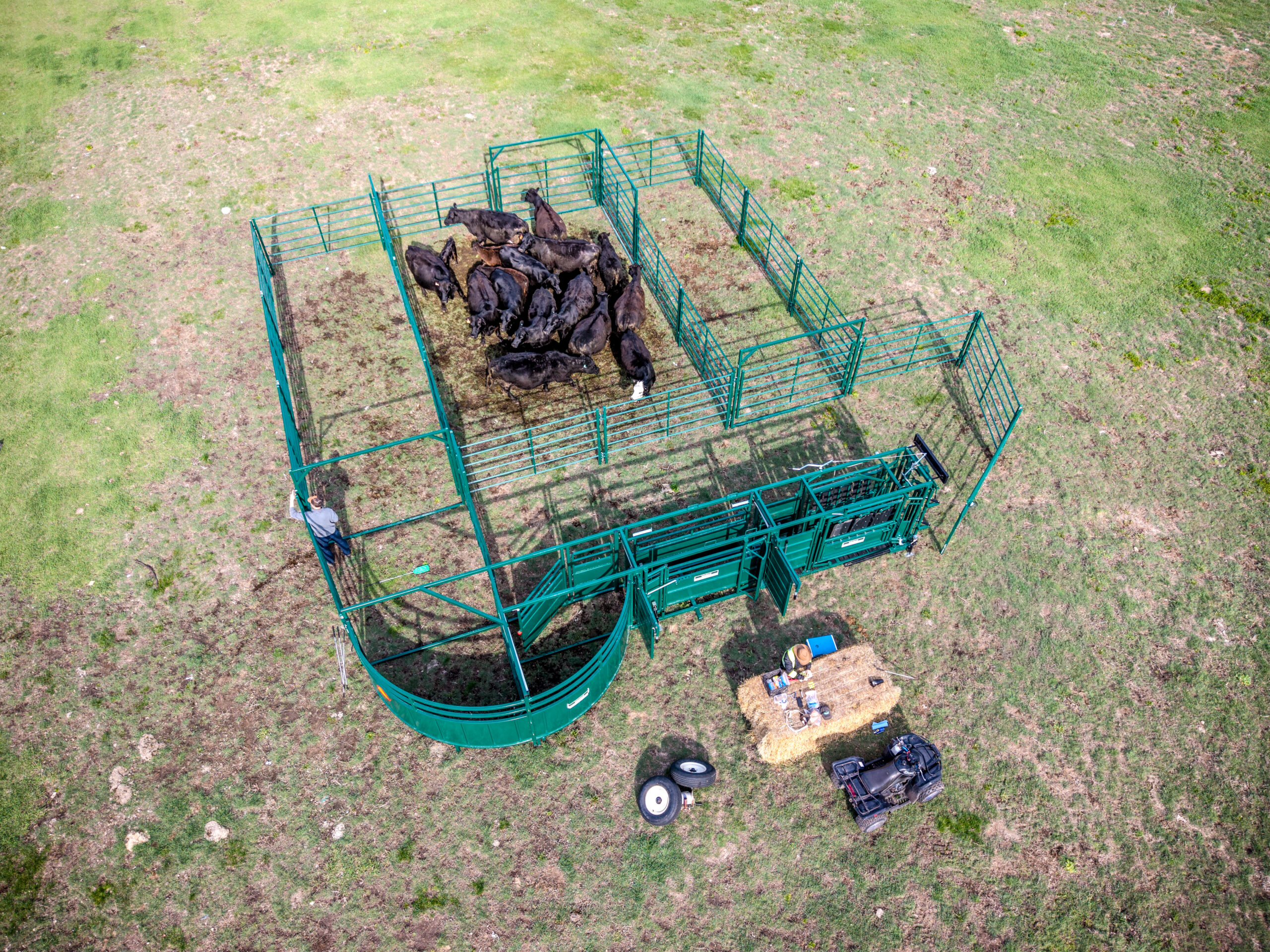 Find the Perfect Package of Products and Save - Cattle