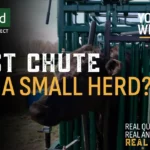 What's the Best Squeeze Chute for a Small Herd?
