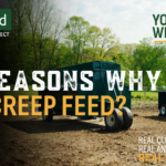 TOP 3 REASONS | Why You Should Creep Feed