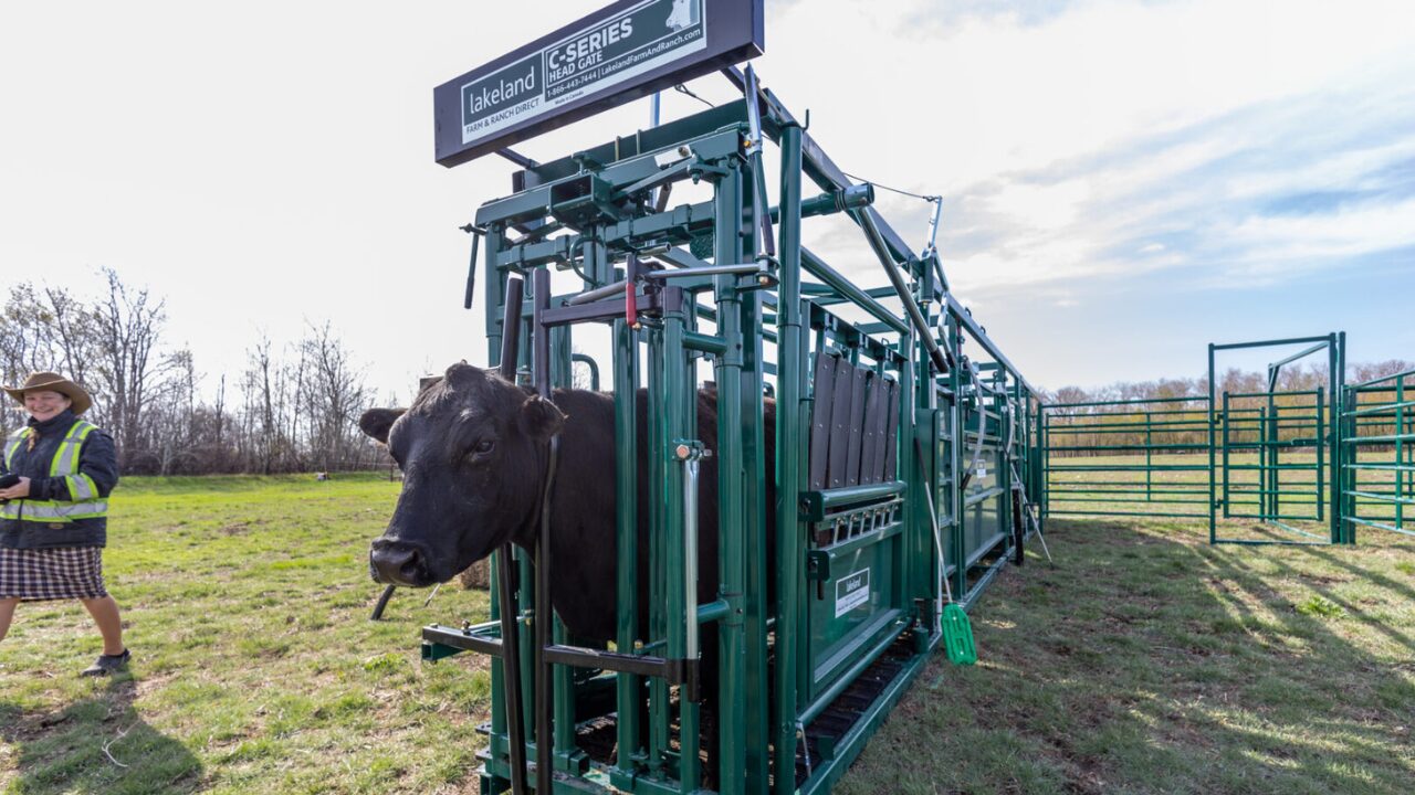 premium c-series squeeze chute - automatic self catch headgate